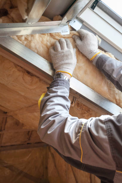 Reliable Niles, IL Insulation Contractor Solutions