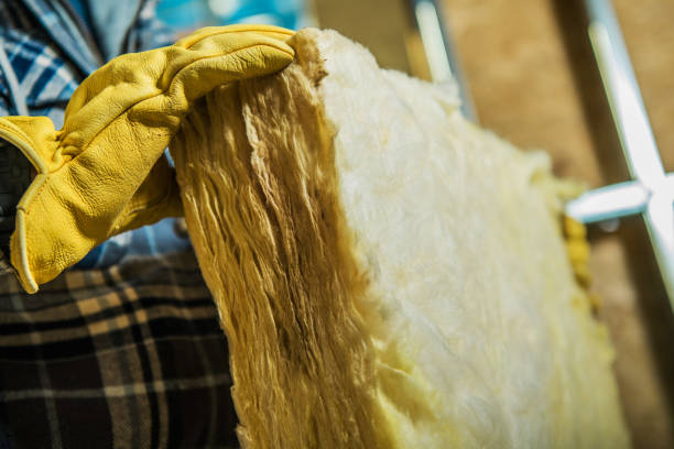 Best Attic Insulation Installation  in Nes, IL