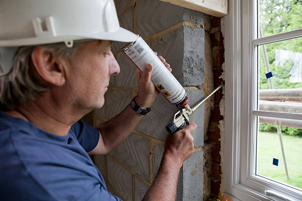 Best Residential Insulation Services  in Nes, IL