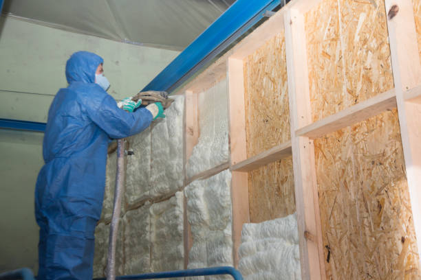 Best Insulation Contractors for Homes  in Nes, IL